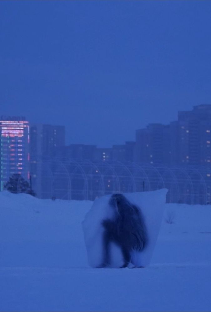 A person stands shrouded in a translucent sheet amidst a snowy landscape at dusk. In the background, brightly lit high-rise buildings are visible against a deep blue sky.