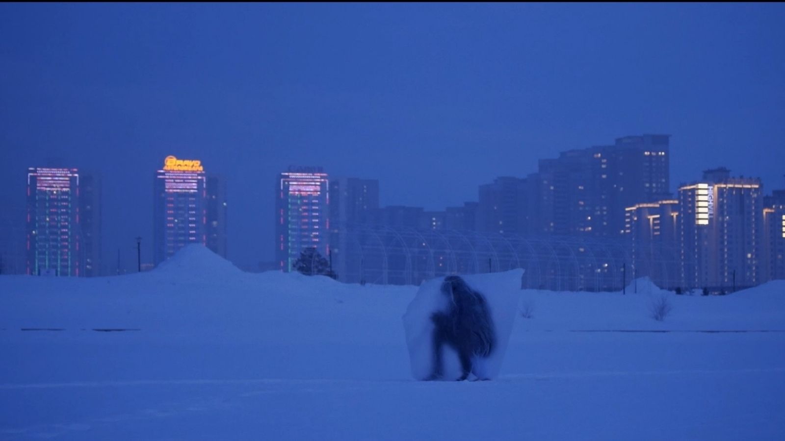 A person stands shrouded in a translucent sheet amidst a snowy landscape at dusk. In the background, brightly lit high-rise buildings are visible against a deep blue sky.
