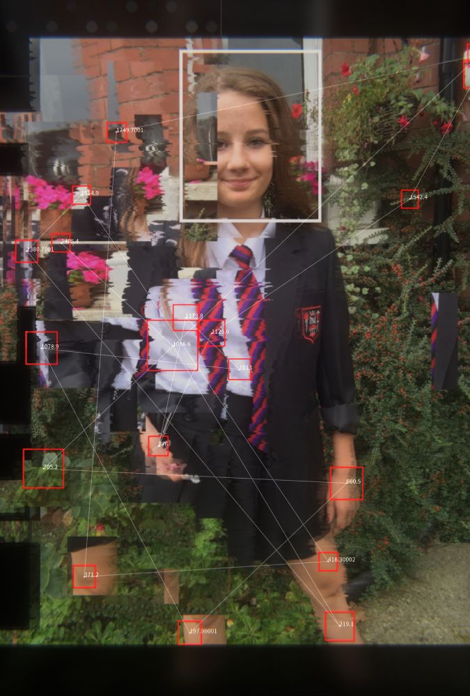 A young girl in a school uniform stands outdoors, surrounded by greenery and pink flowers. The image is overlaid with fragmented digital patterns and red squares with numerical annotations, suggesting a focus on technology or data analysis.