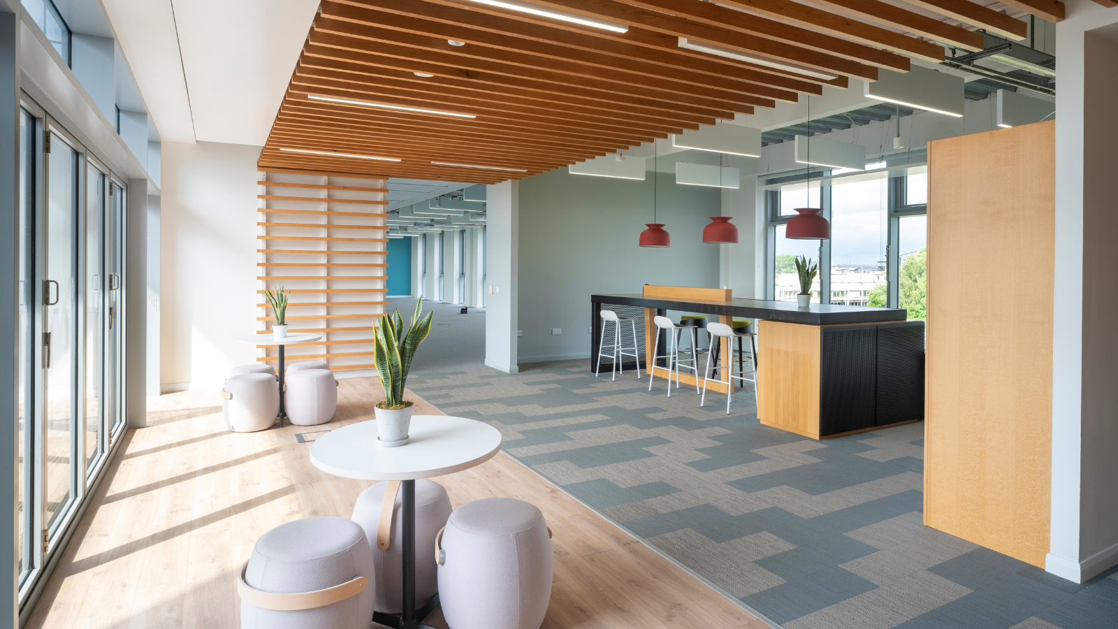 Internal space of Red Tree Magenta