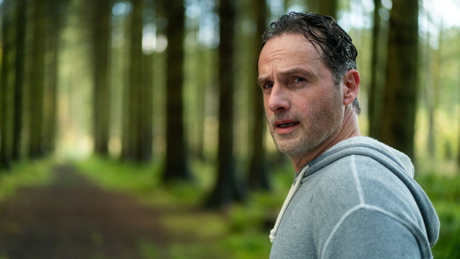 A man in a grey hoodie stands on a forest path lined with tall, evenly spaced trees. The background is blurred with a soft focus, highlighting the trees and creating a serene woodland atmosphere.