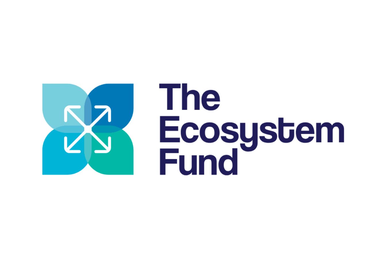 Logo of The Ecosystem Fund on a plain white background. On the left is a square-shaped icon made of four overlapping leaf-like shapes in shades of blue and teal, with thin white arrows pointing outward toward each of the four corners in the centre. To the right of the icon is the text "The Ecosystem Fund" stacked in three lines in a bold, dark blue sans-serif font.