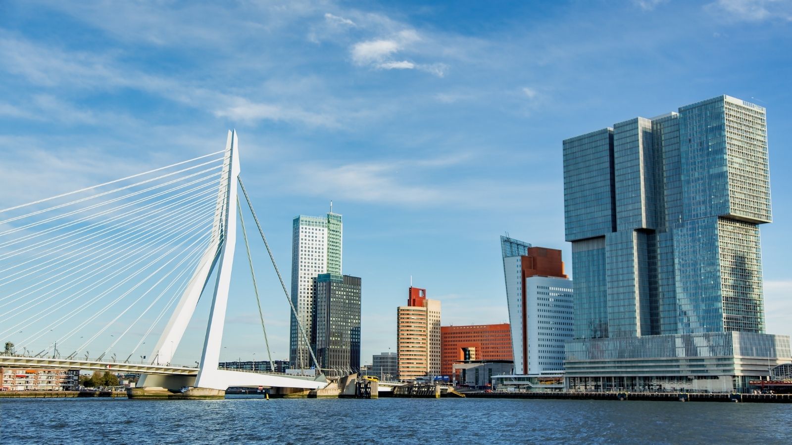 A cityscape of Rotterdam, with tall buildings and a bridge over water