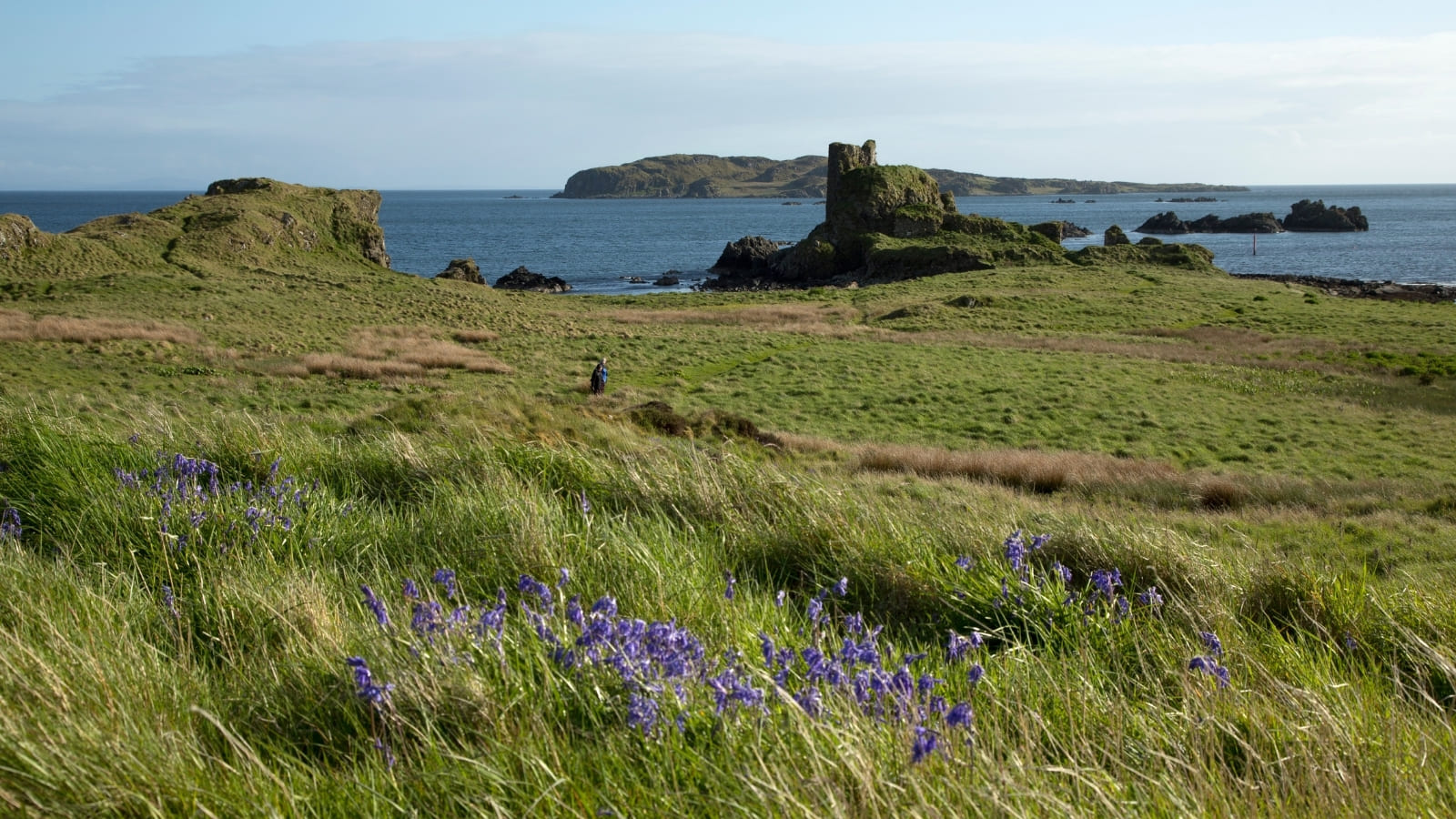 A grassy landscape lies in front of a beautiful castle, beyond it is the blue sea