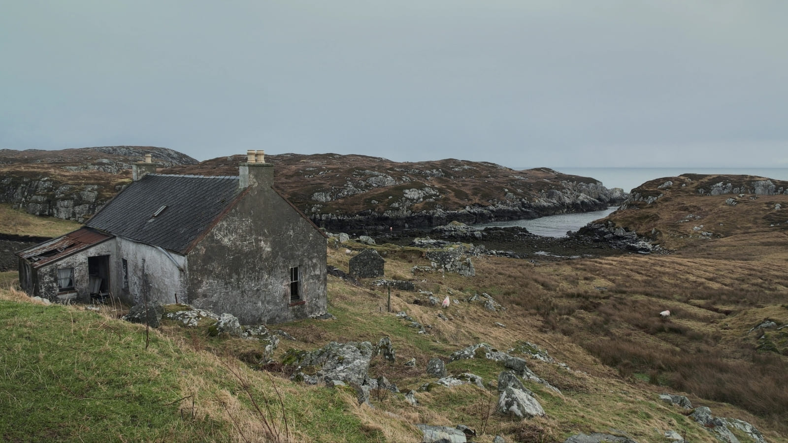 A stone cottage sits on a mossy bank in front of the sea