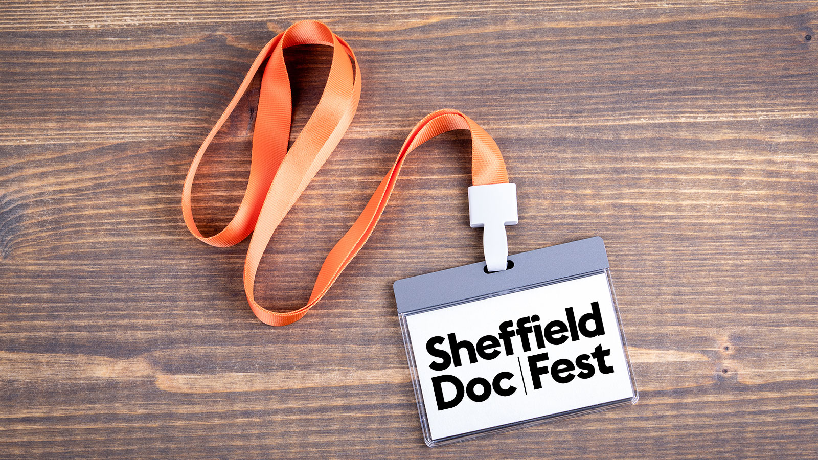 Sheffield Doc Fest delegate pass