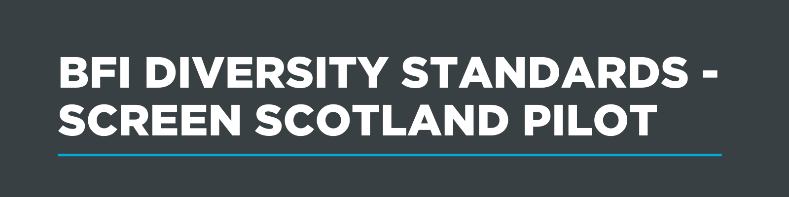 BFI DIVERSITY STANDARDS - SCREEN SCOTLAND PILOT