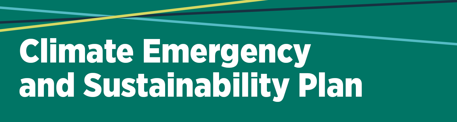 Climate Emergency and Sustainability Plan