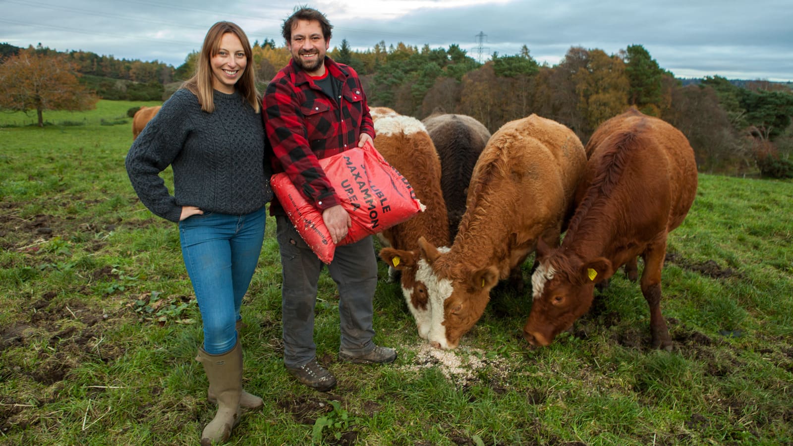 The image shows farmers Joanna and Donald Fraser stand smiling next to a several cows in a field as part of filming for This Farming Life on BBC. Donald holds a bag of feed which is open and has spilled onto the ground, which is being eaten by the cows.