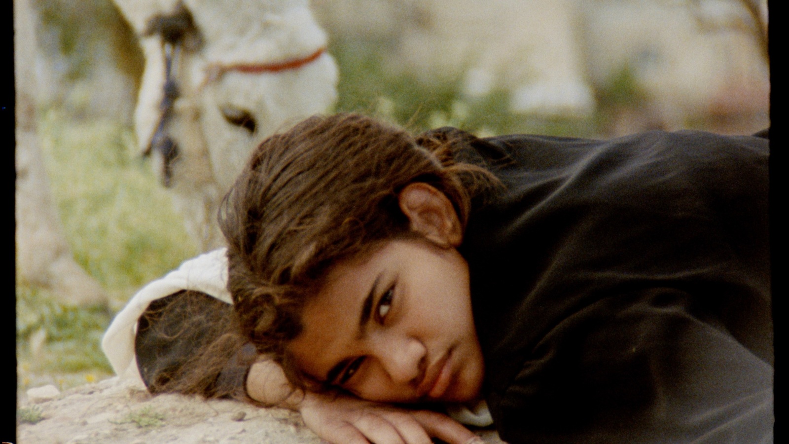 Still from A Night We Held, a goat eats grass in the background, while a child lies on the ground with their head on their arm, looking at the camera