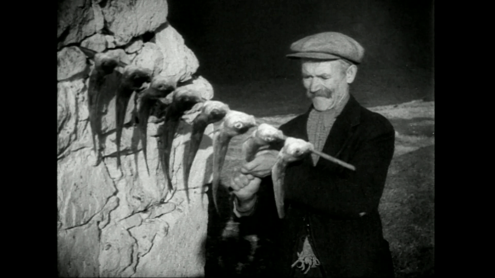 An elderly man in a cap and dark jacket smiles while holding a row of large, hanging fish or birds with long beaks, against a rugged, rocky backdrop.