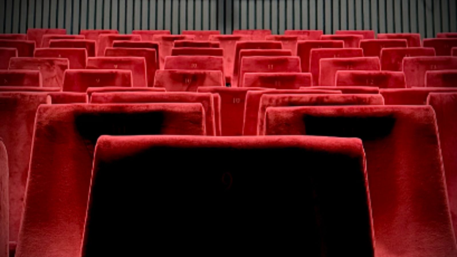 Rows of red seats in a cinema screen