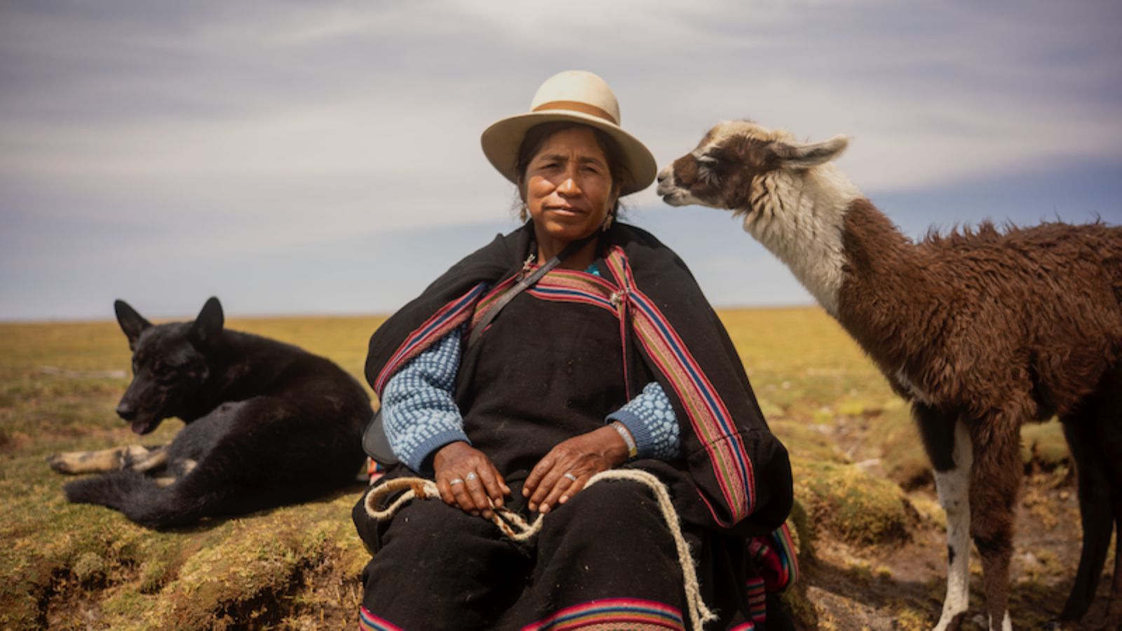 An elderly woman in traditional attire sits on grassy terrain, flanked by a resting black dog and a standing llama. The sky is overcast, and her clothing features colourful, striped patterns.