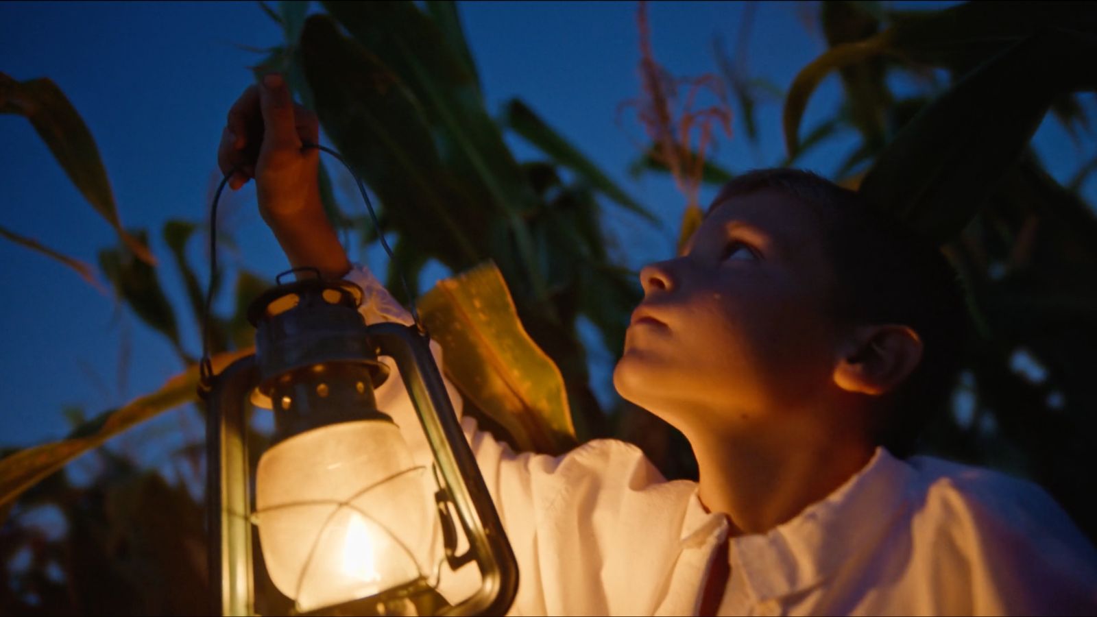 An close-up, low-angle shot of a young boy holding up a glowing vintage lantern in a cornfield at dusk. The warm yellow light from the lantern illuminates his face from below as he looks up thoughtfully towards the right. He wears a white button-down shirt. The tall stalks and leaves of the cornfield frame him against a deep blue evening sky.