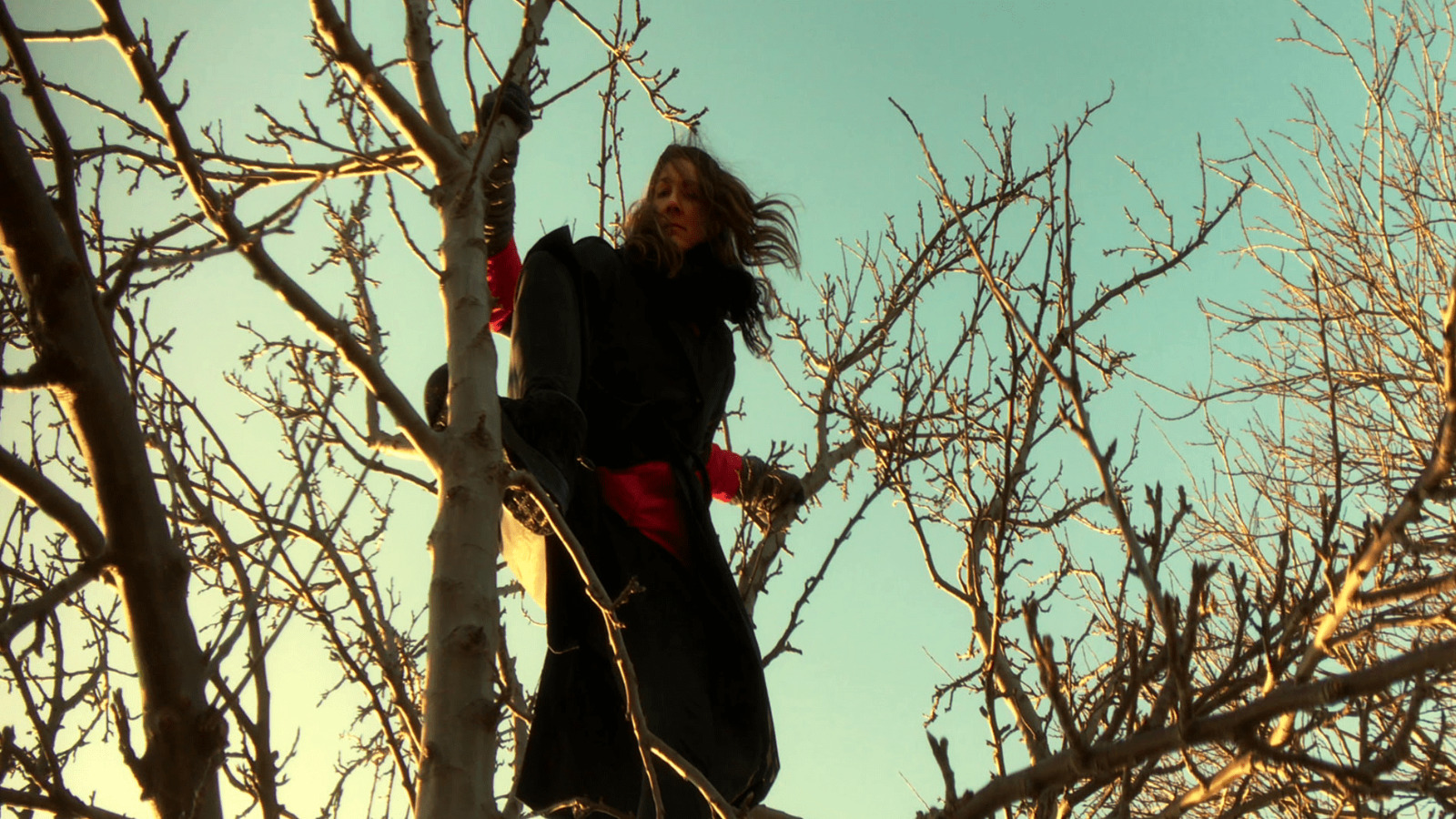 Woman outside standing in a tree.